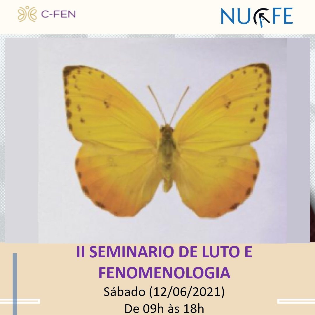 Cartaz de curso realizado pelo Instituto NUCAFE — imagem 16 de 56